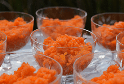 Carrot Sorbet