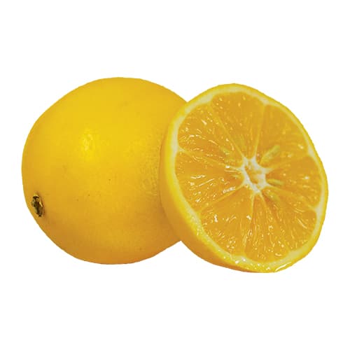 Meyer Lemon pic